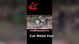 অ্যালিগেটর শিয়ার