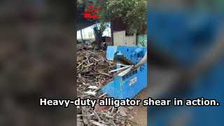 উচ্চ দক্ষতার সাথে শক্তিশালী অ্যালিগেটর শিয়ার কাটিং স্ক্র্যাপ ধাতু।