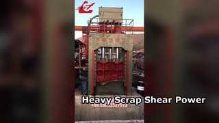 গ্যান্ট্রি শিয়ার