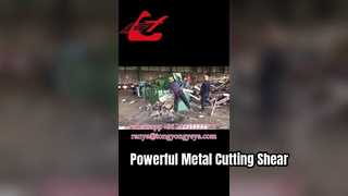 Q43-2500 অ্যালিগেটর শিয়ার